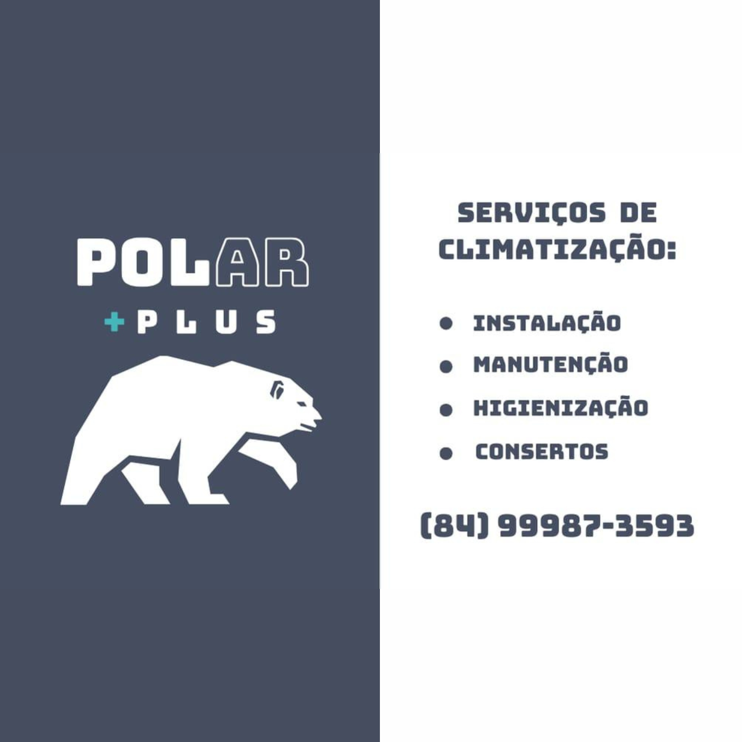 Polar +Plus